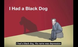 I had a black dog