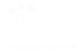 SAMH Logo